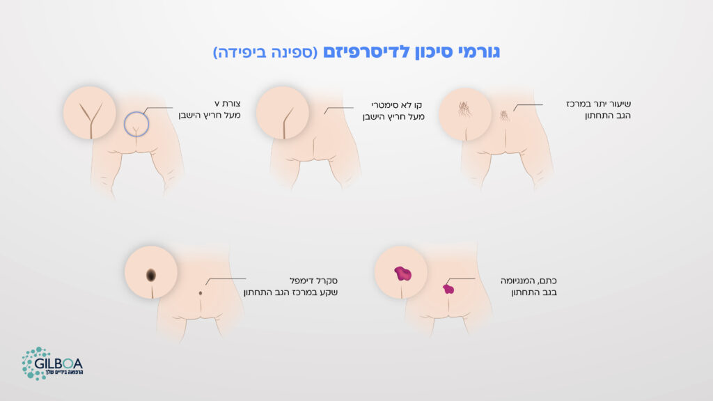 אולטרסאונד עמוד שדרה תחתון לתינוק - גורמי סיכון דיספריזם